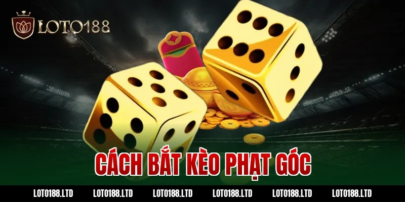 cách bắt kèo phạt góc