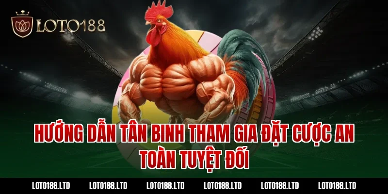 Hướng dẫn tân binh tham gia đặt cược an toàn tuyệt đối tại Loto188