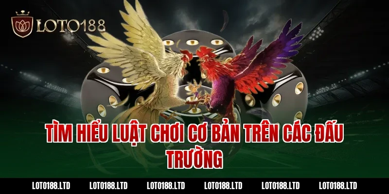 Tìm hiểu luật chơi cơ bản trên các đấu trường Loto188